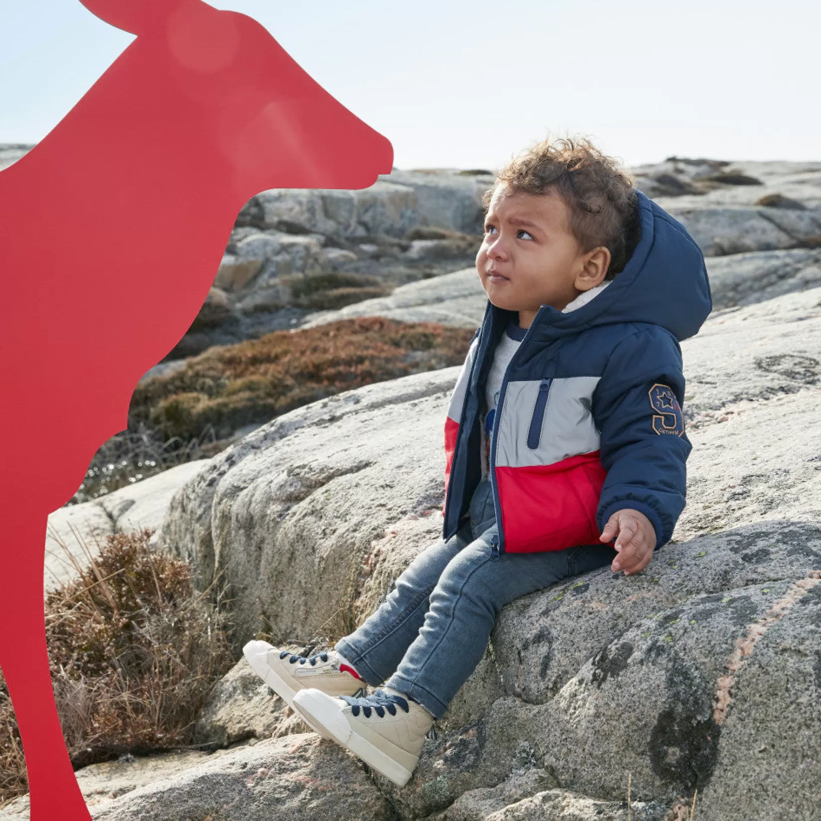 Baby Boy Coated Color Block Bomber Jacket*Catimini Sale